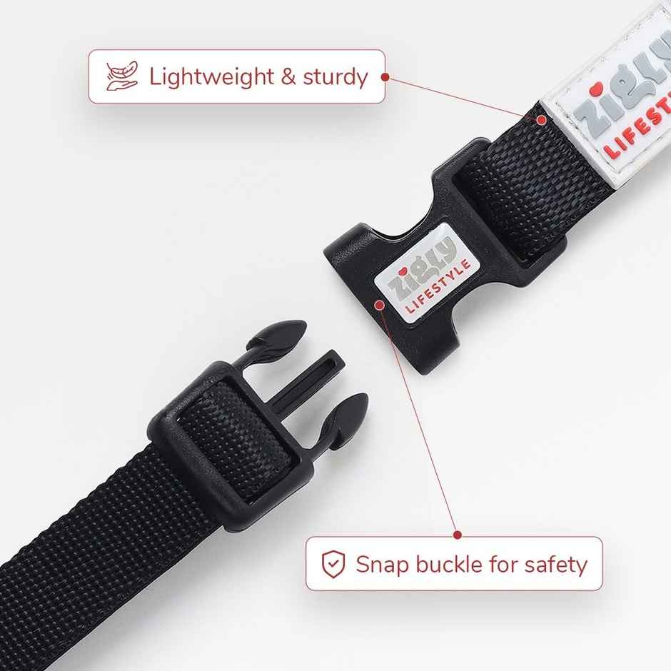 Zigly Padded Dog Collar | Suitable for Adult Dogs & Large Breeds | Black - L