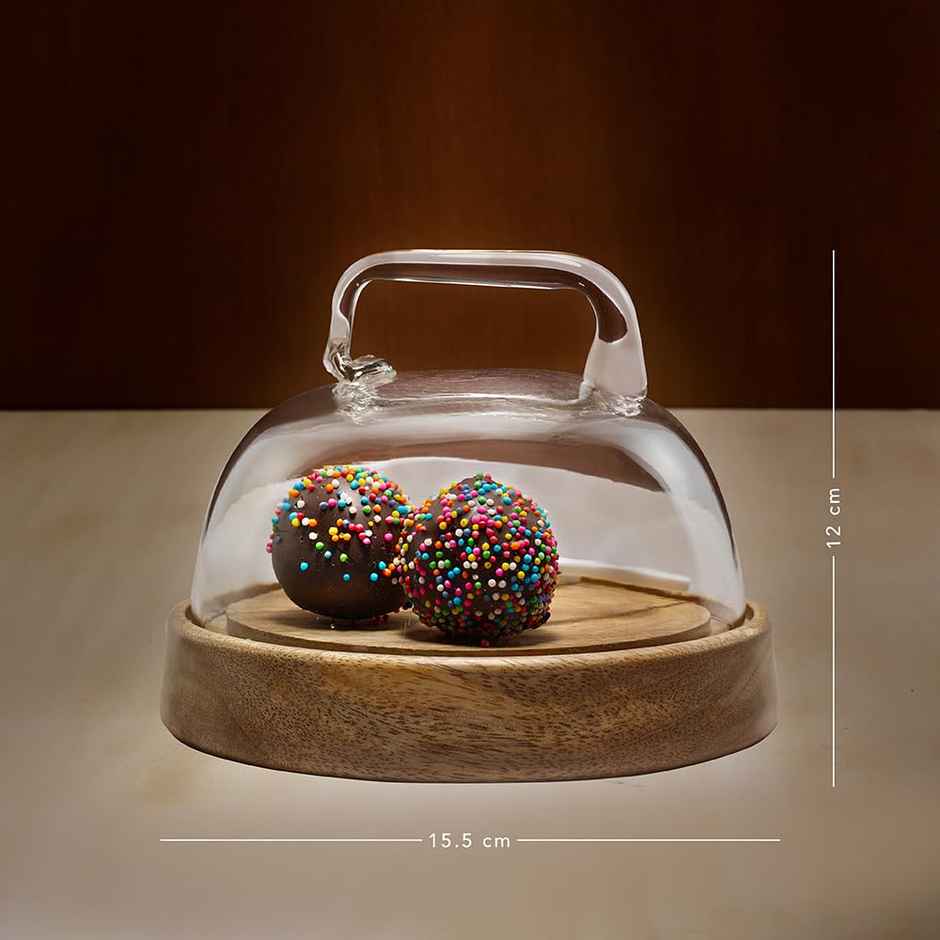 Ellementry Dome Glass Cloche With Wooden Base- Small