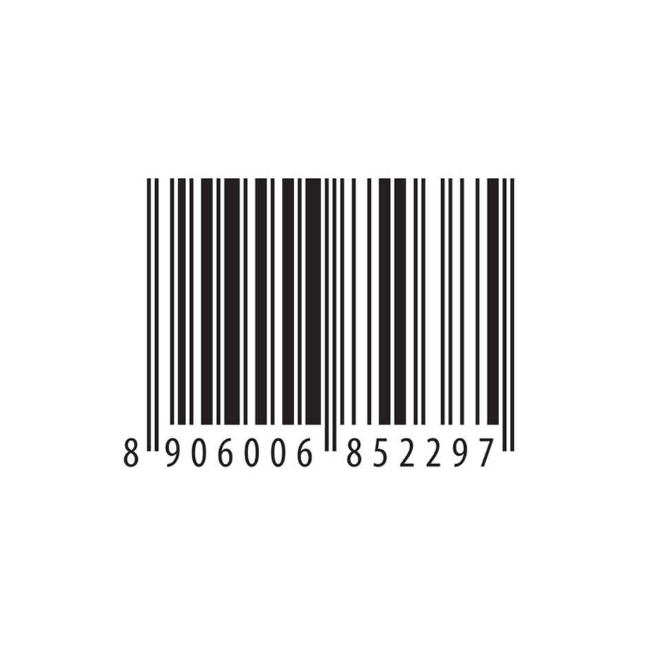Baskin Robbins Mississippi Mud Ice Cream Stick