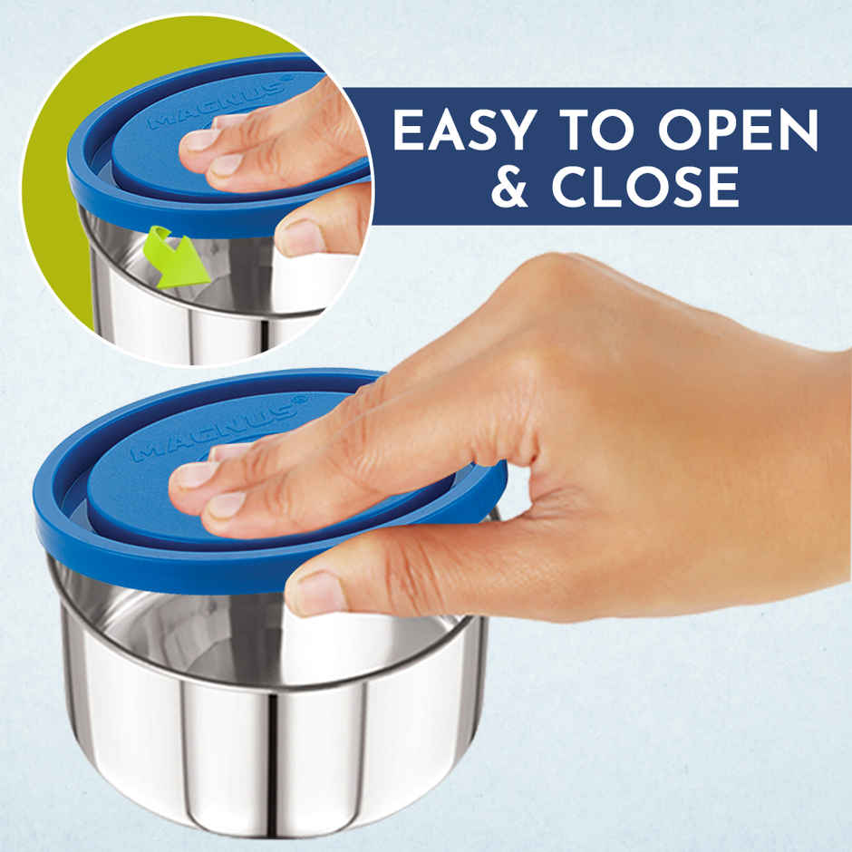 Magnus Fancy 3 Steel Lunch Box Set With Stainless Steel Washable Cover, And Stylish Carry Bag