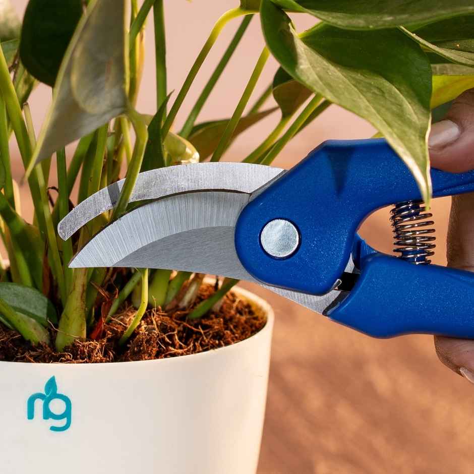 Nurturing Green - Garden Hand Pruner | Plant Cutter | Gardening Scissors | Gardening Tool