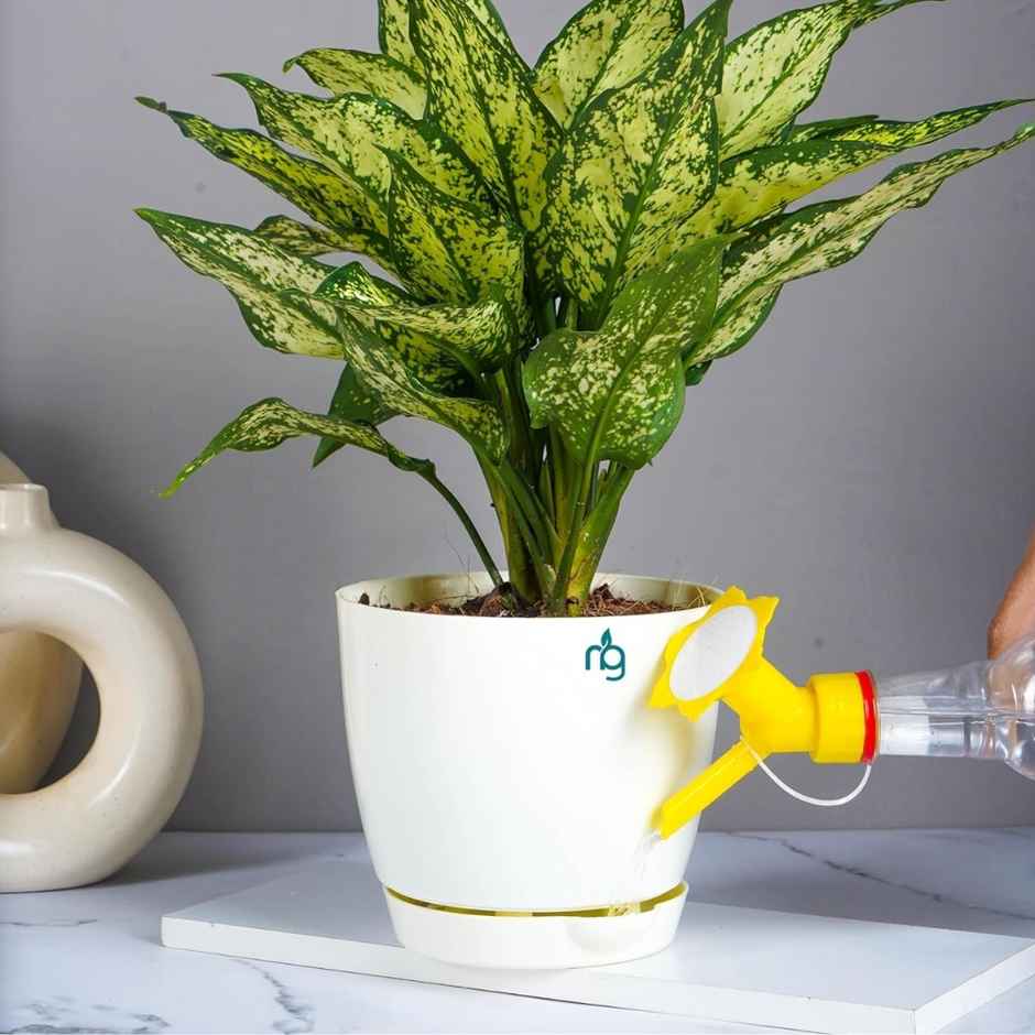 Nurturing Green - Self Watering Pots | Set of 5 | Ivory | Size: 14cm x 12.5cm | Pots for Plant