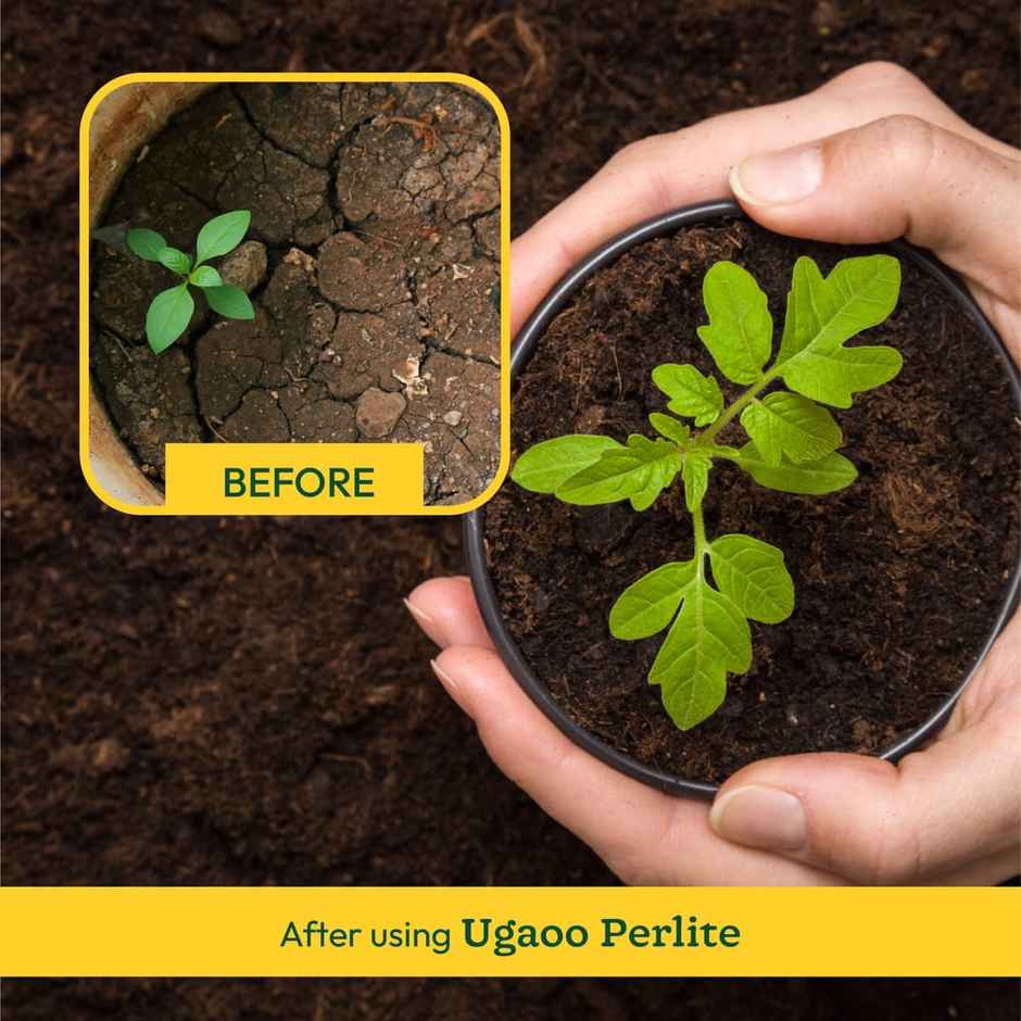 Ugaoo Perlite for Gardening - 250 Grams