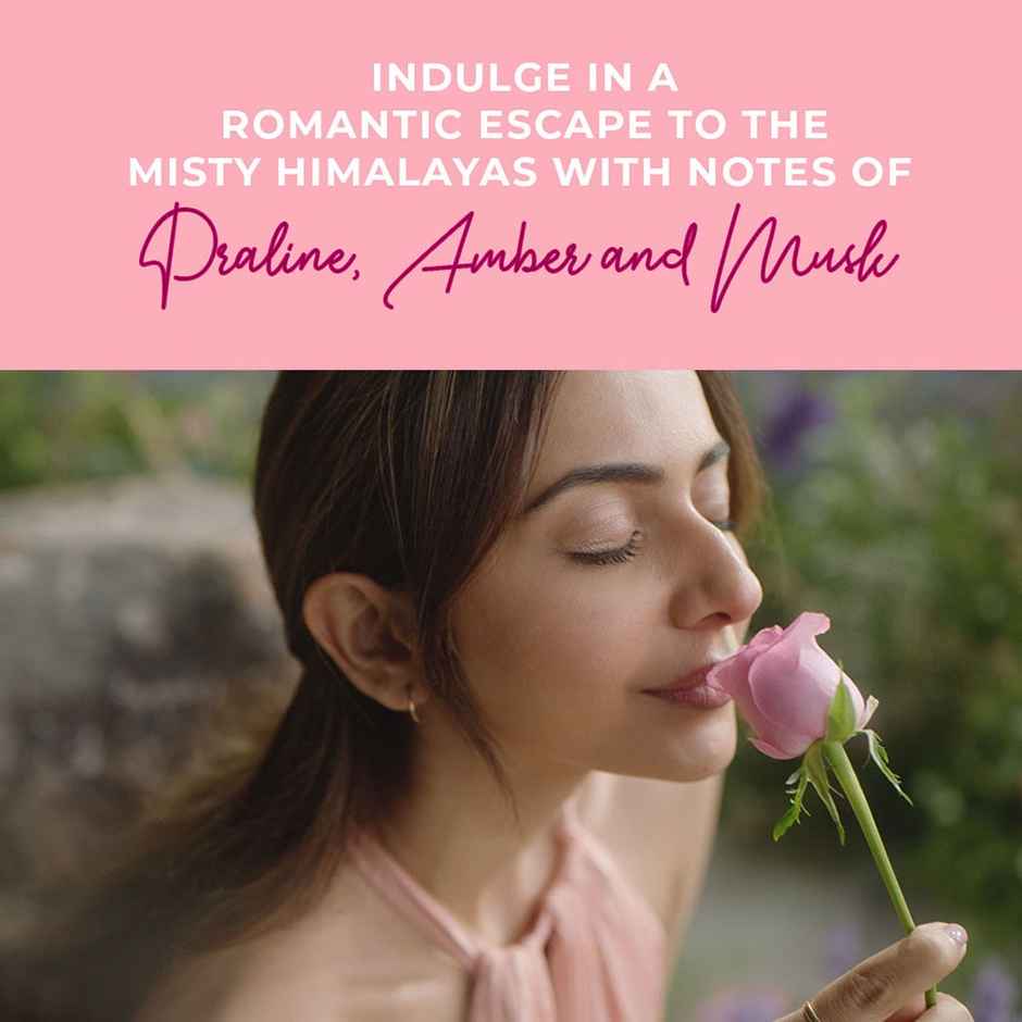 Lux Rose and Aloe Vera Shimmer Body Wash