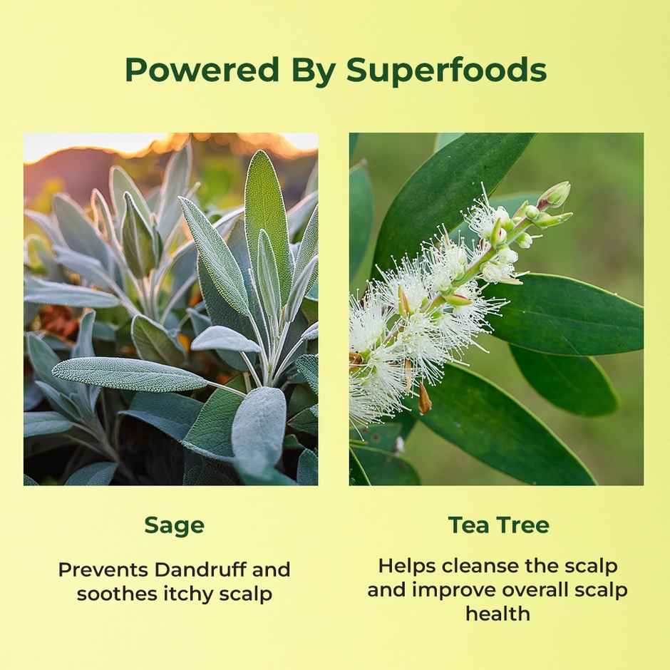 Naturali Anti-Dandruff Scalp Serum Sage Tea Tree Oil & Salicylic Acid