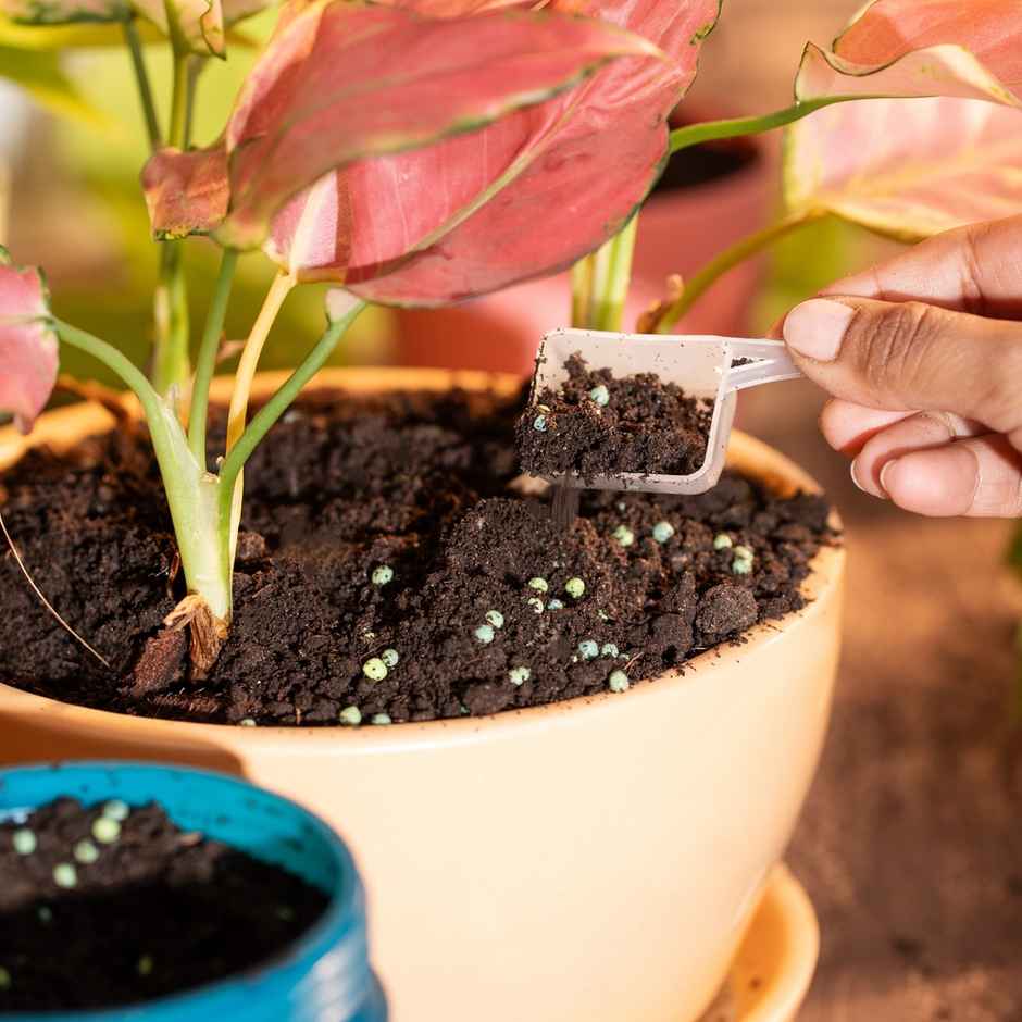 Nurturing Green - Plant Food | 400gm | Growth Supplement | Fertillizer for Soil and Plant Care