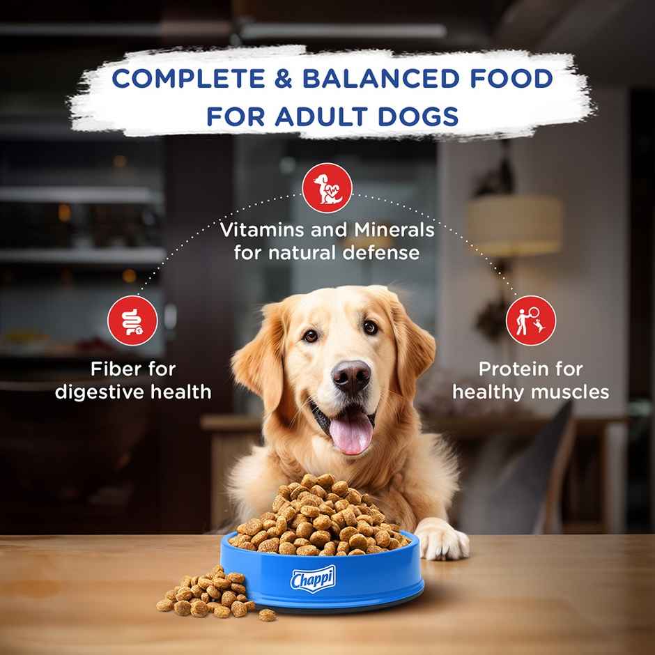 Chappi Adult Chicken & Rice Dry Dog Food