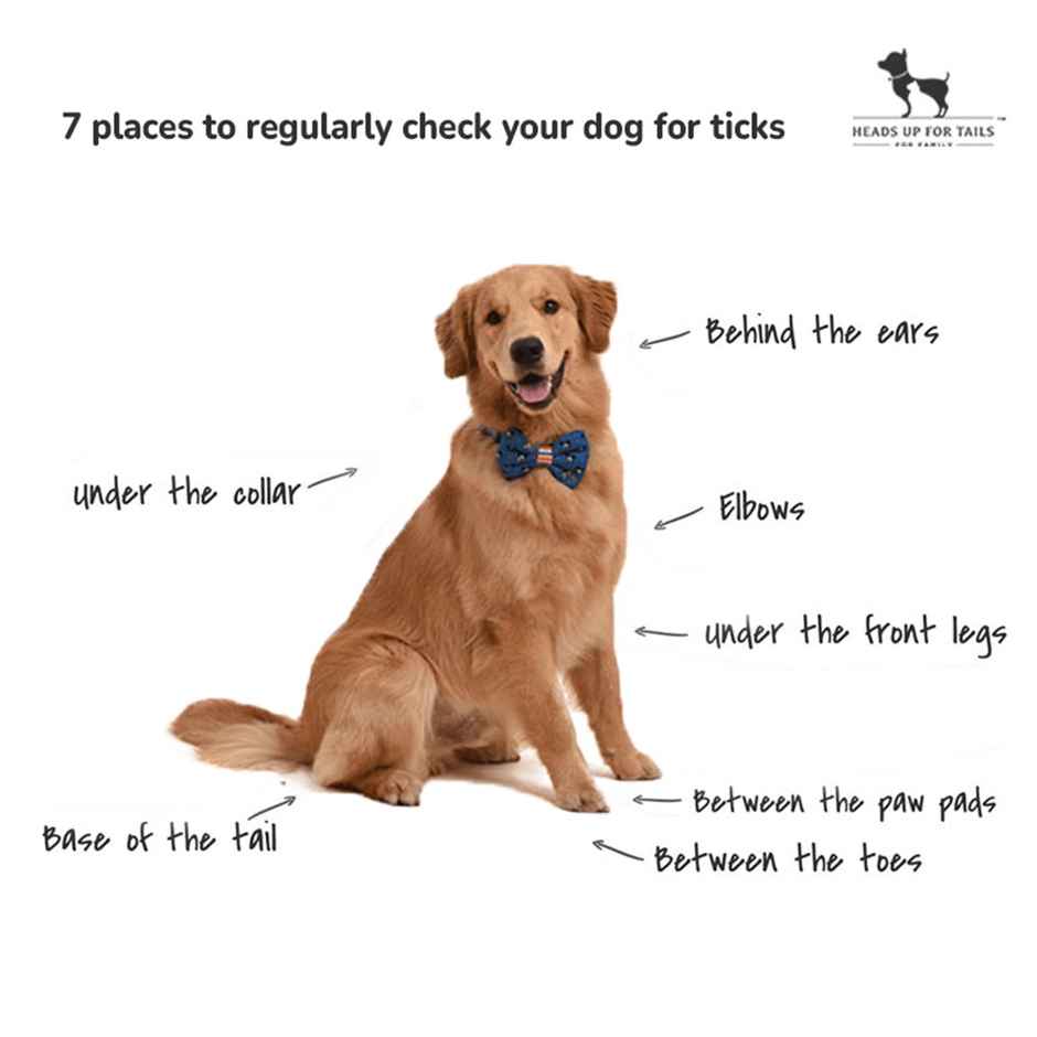 HUFT Flea & Tick Remover Repellent For Dog Lemongrass & Geranium