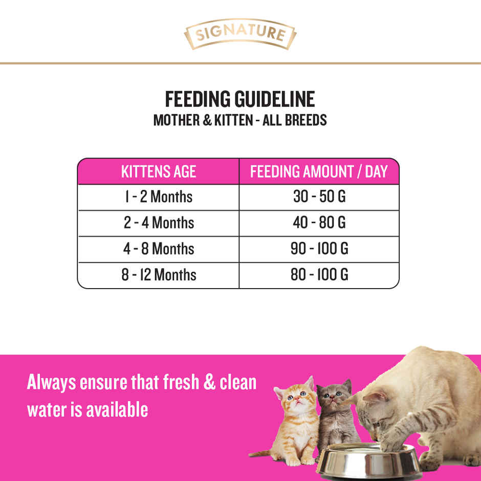 Signature Grain Zero Kitten Ocean Fish Dry Cat Food with Free Container 