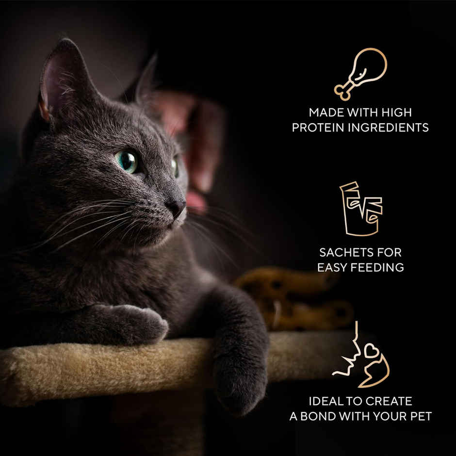 Sheba Duo Adult Cat Treats | Crispy Outside Soft Inside
