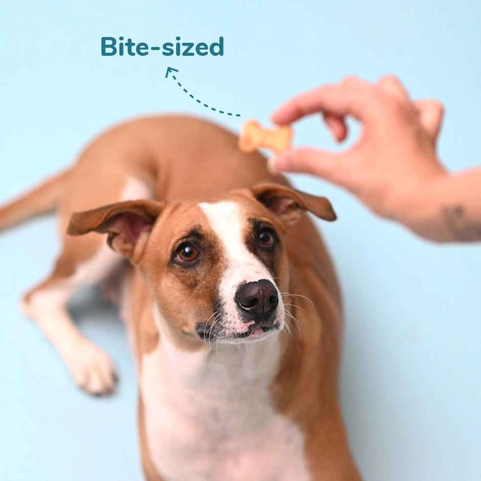 HUFT Yummy In My Tummy Dog Cookies Chicken LiverJar