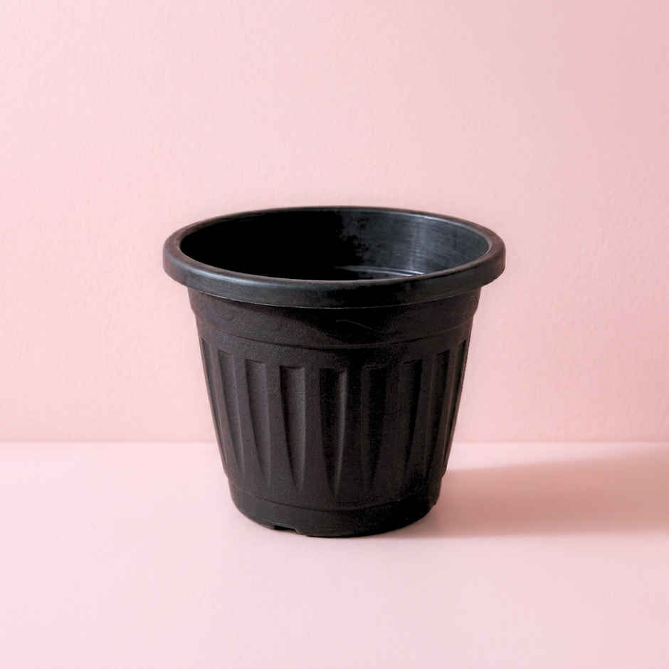 Zamia Plastic Garden Pot | 8 inch | Black | Pack of 1 | By Nurturing Green