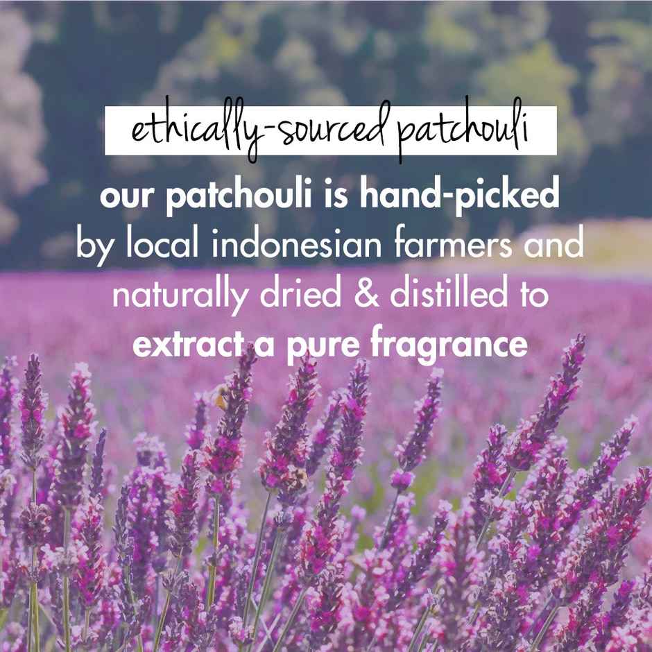 Love Beauty & Planet Onion, Blackseed & Patchouli Hairfall Control Conditioner