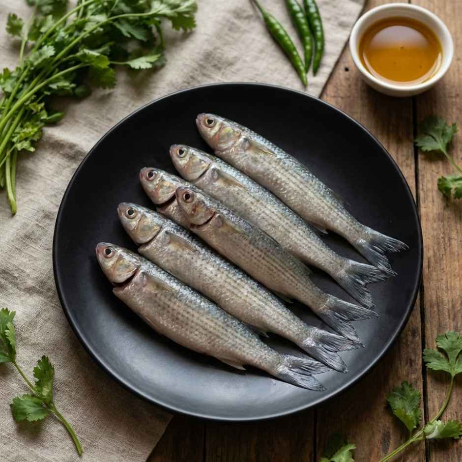 Total Parshe Fish 