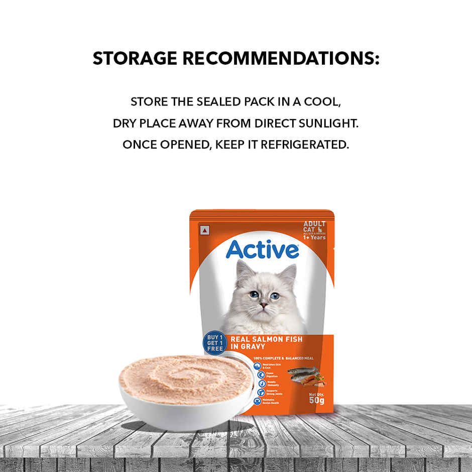 Active Adult Cat Wet Food Real Salmon in Gravy