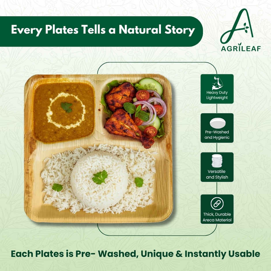 AGRILEAF 9 Inch Square 3-Compartment Areca Palm Leaf Disposable 5 Plates with 5 Spoons