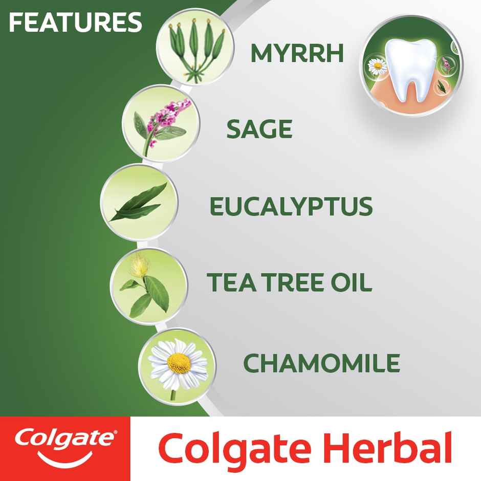 Colgate Herbal Toothpaste