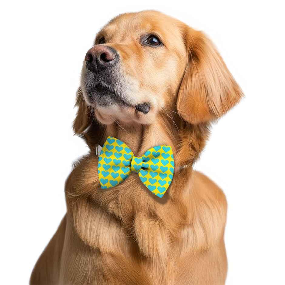 Pawsindia All Hearts Pattern Bow Tie - S