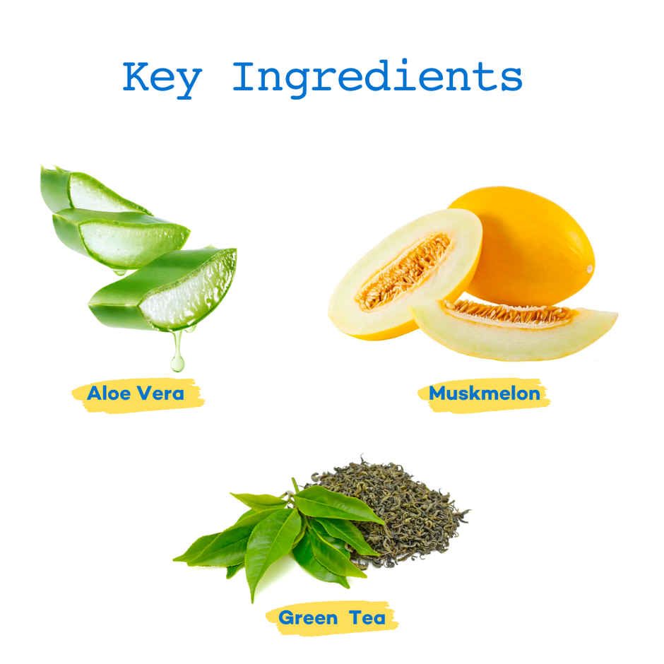 Good Paws Ruffunzel Long Coat Dog Shampoo Reduces Tangles