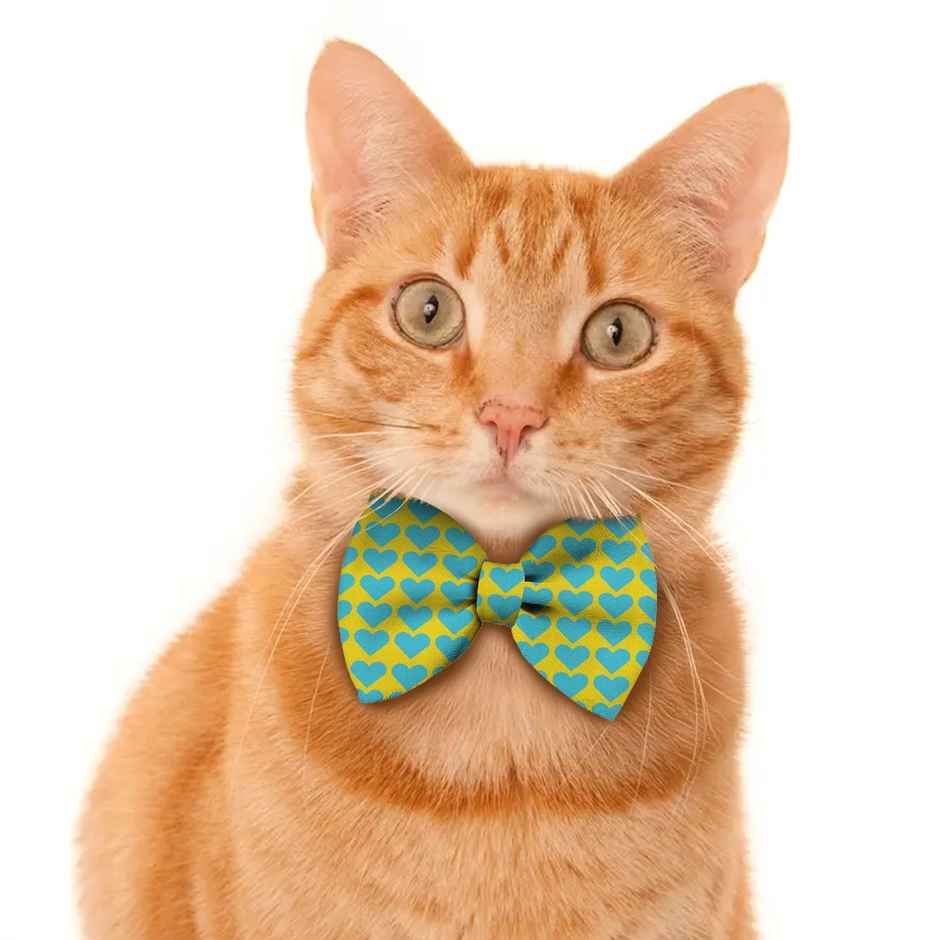 Pawsindia All Hearts Pattern Bow Tie - S
