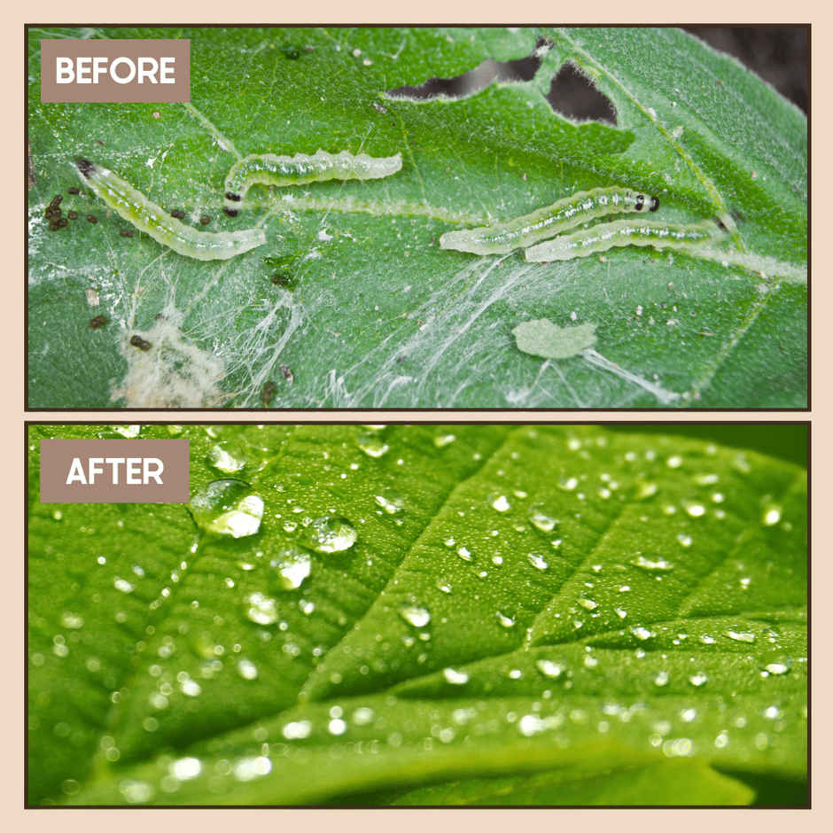 Nurturing Green Herbal Neem Spray | Organic Solution for Pests in Home & Balcony Plants