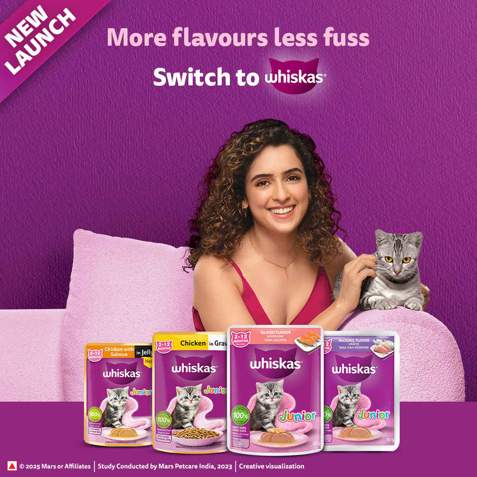 Whiskas Kitten Wet Cat Food Salmon in Jelly