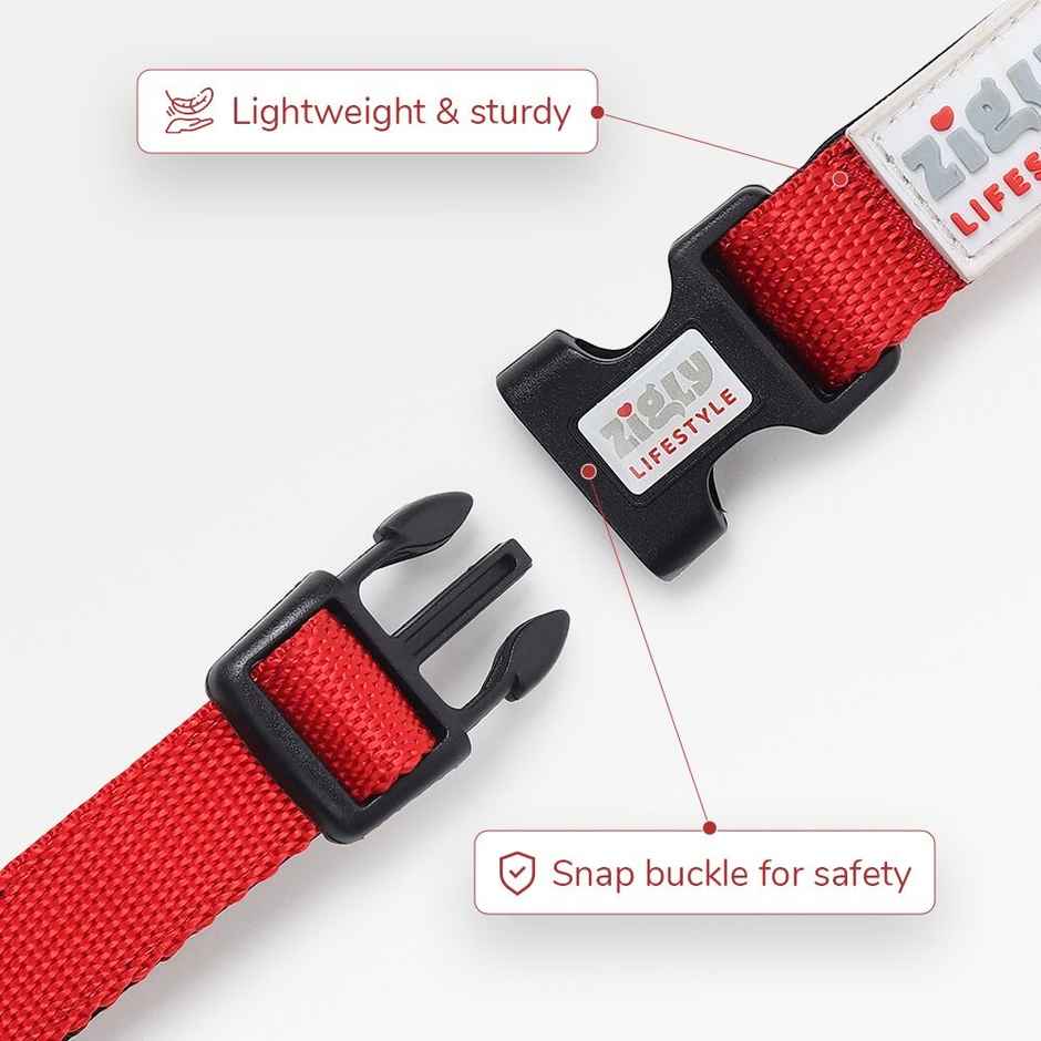 Zigly Padded Dog Collar | Suitable for Puppies & Small Breeds | Red - S