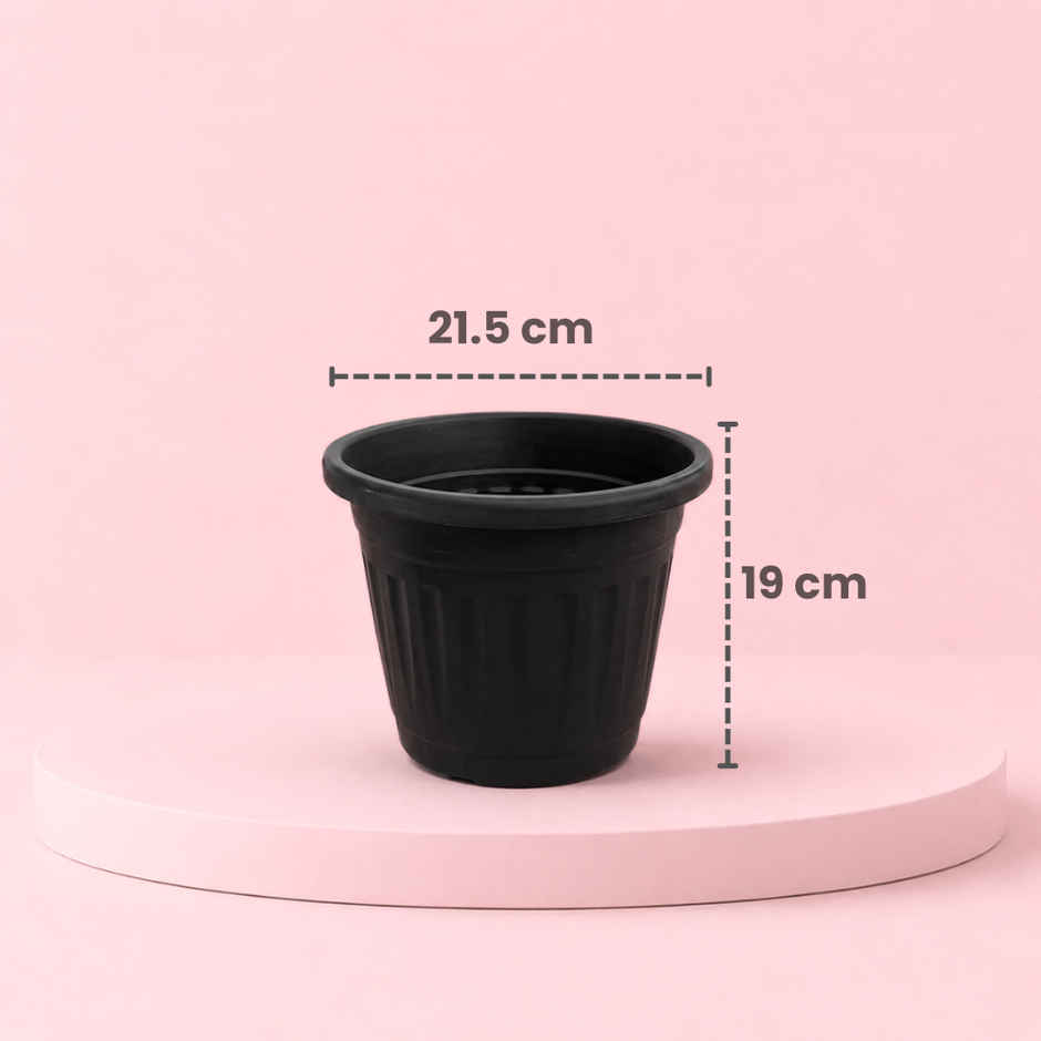 Zamia Plastic Garden Pot | 8 inch | Black | Pack of 1 | By Nurturing Green