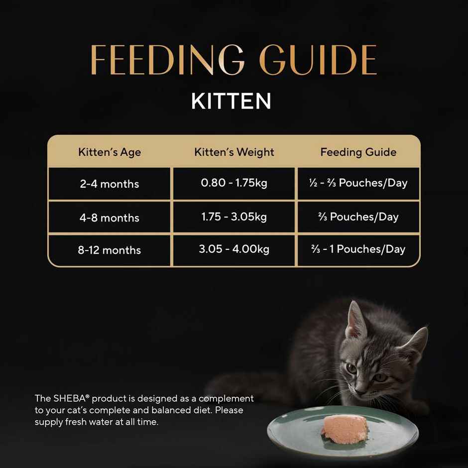 Sheba Fine Kitten Chicken Premium Loaf Wet Cat Food