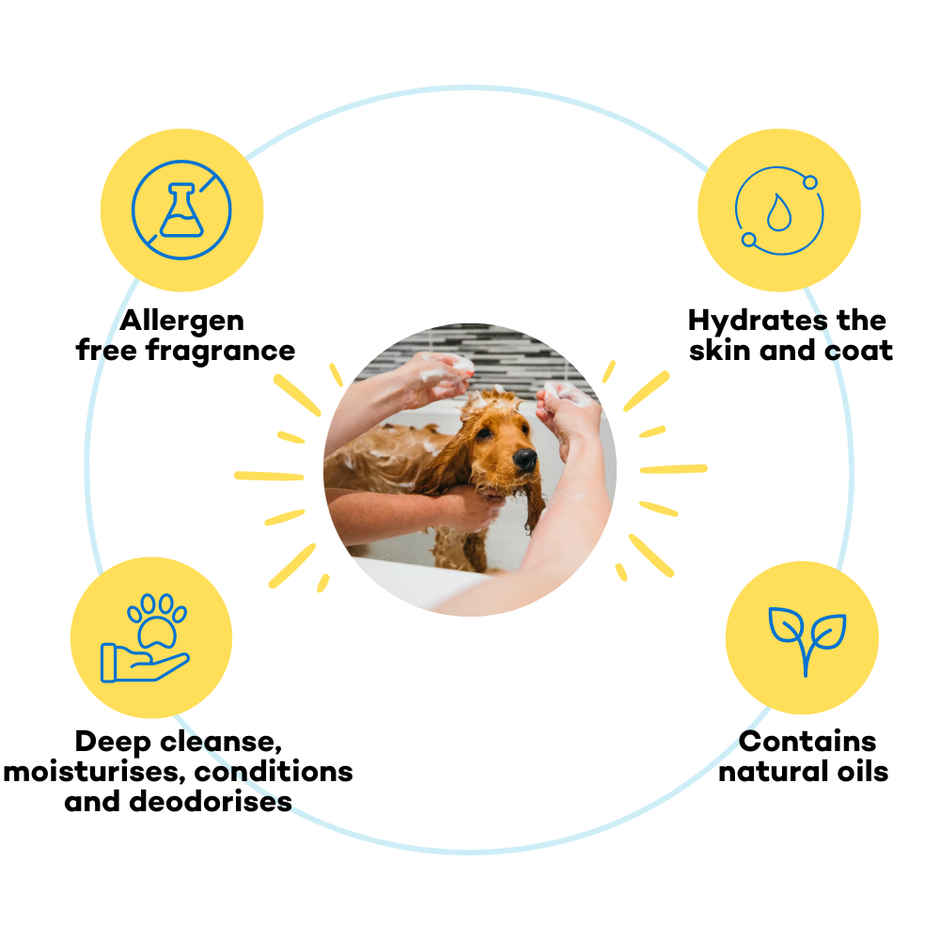 Good Paws Awesome Pawsome 4 In 1 Dog Shampoo Moisturizing And Conditioning