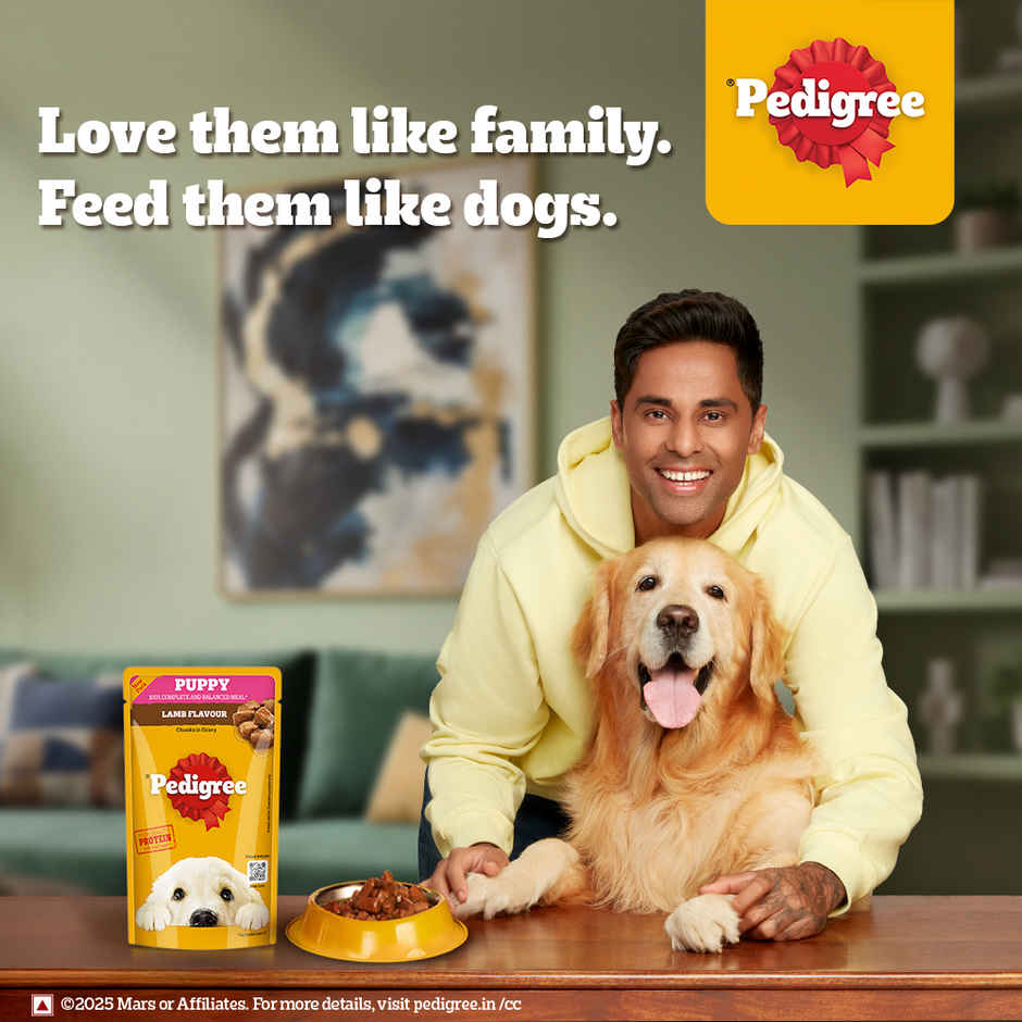 Pedigree Puppy Lamb Flavour Chunks In Gravy Wet Dog Food