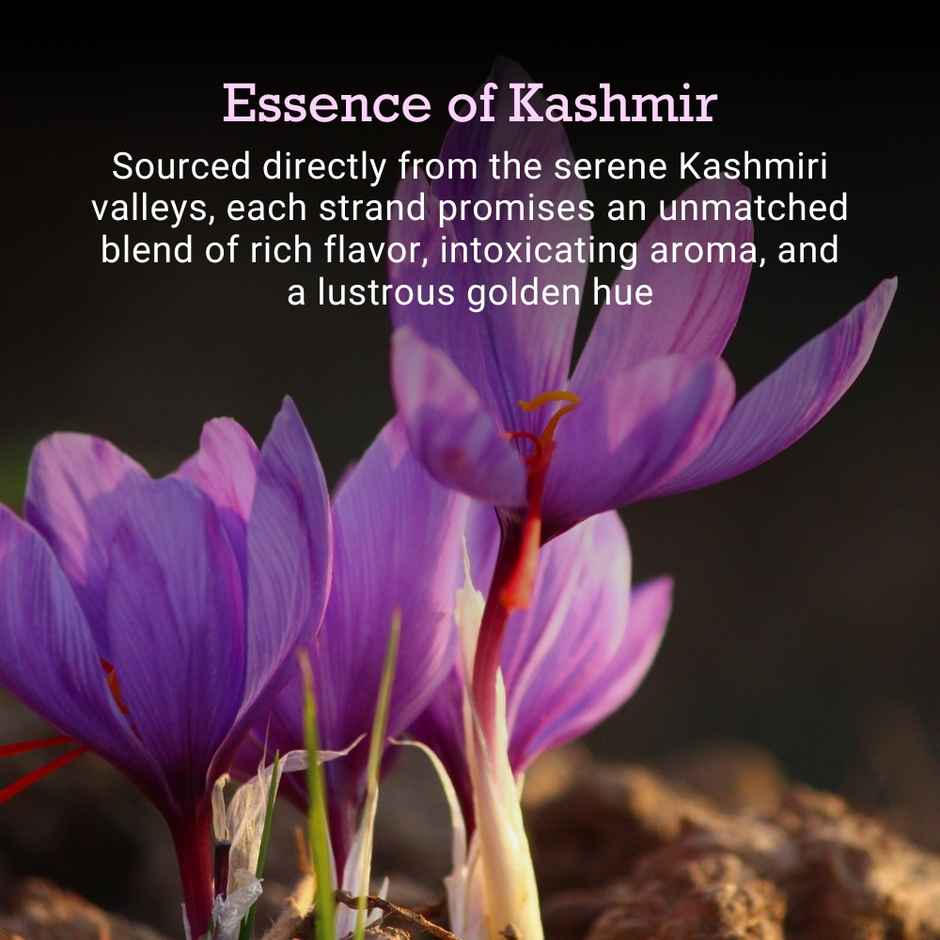 First Bud Organics Premium Kashmiri Mogra Saffron | Absolutely Pure Saffron | Handpicked | Grade A++