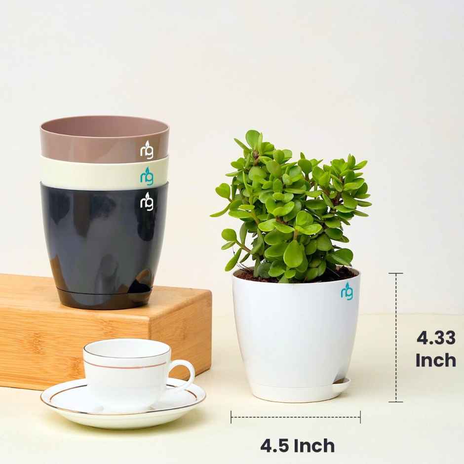 Nurturing Green - Self Watering Pots | Set of 4 | Assorted | Size: 11.5cm x 11cm