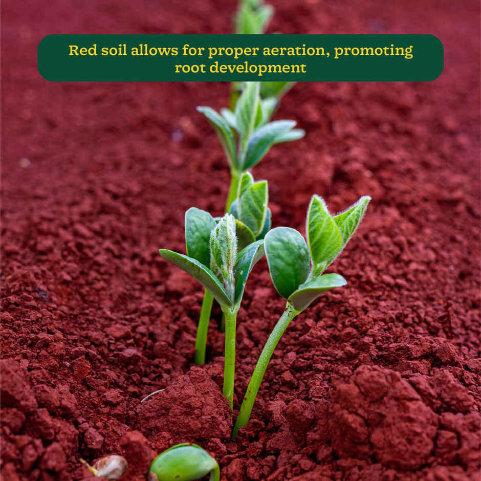 Ugaoo Garden Red Soil