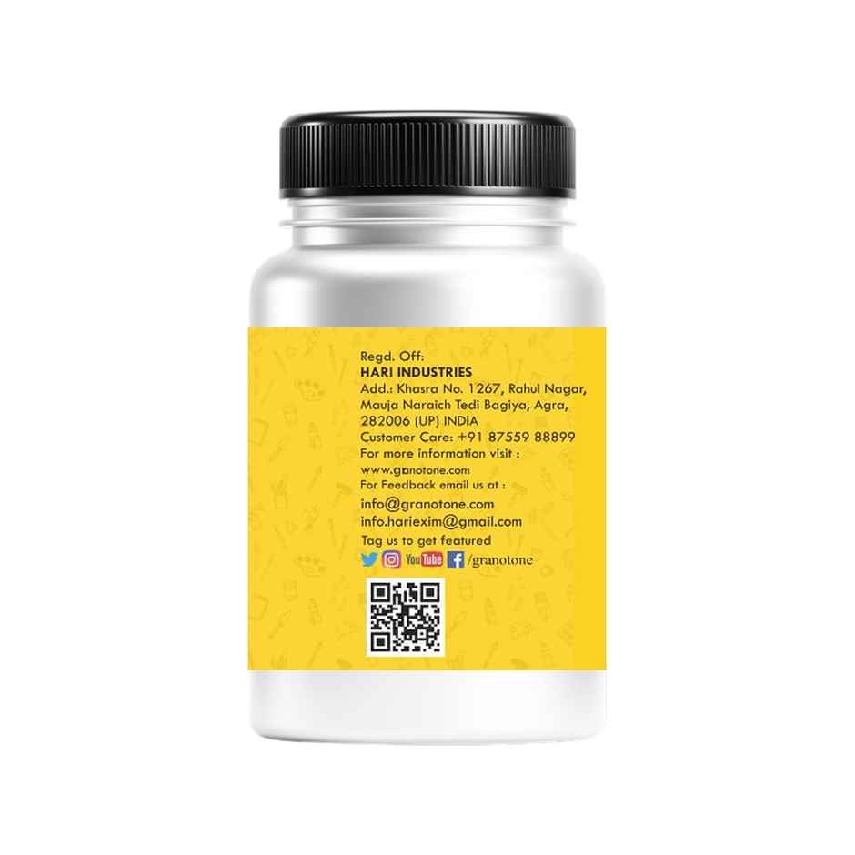 Granotone Artist Acrylic Gesso Paint (White)