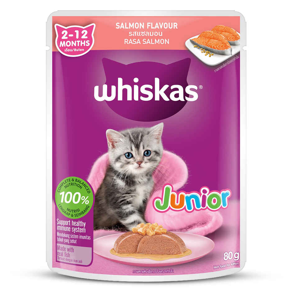 Whiskas Kitten Wet Cat Food Salmon in Jelly