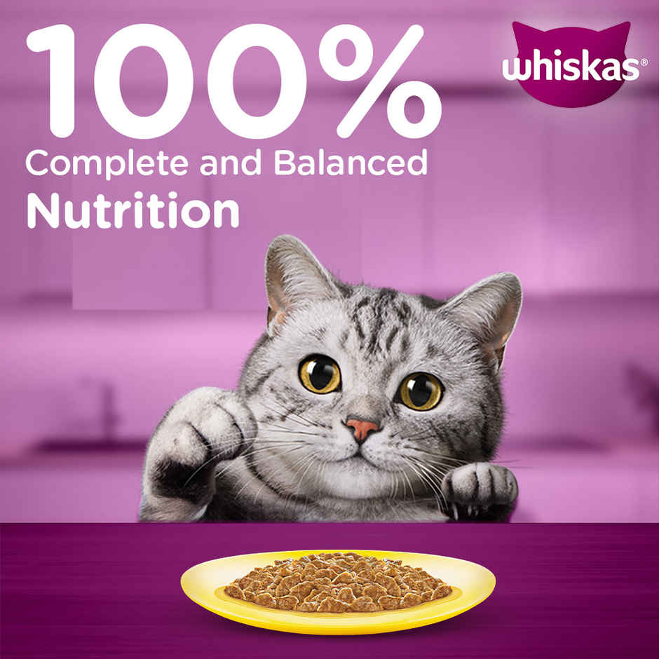 Whiskas Adult Wet Cat Food Mackerel in Jelly