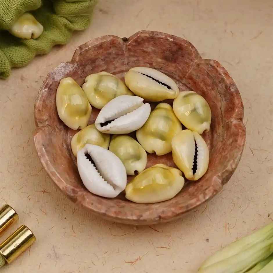 Kaudi Shells | ServDharm