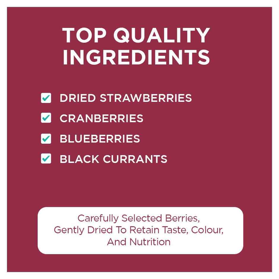 Nutty Gritties Premium Mix Berries - 4 In 1 Fibre-Rich Snack