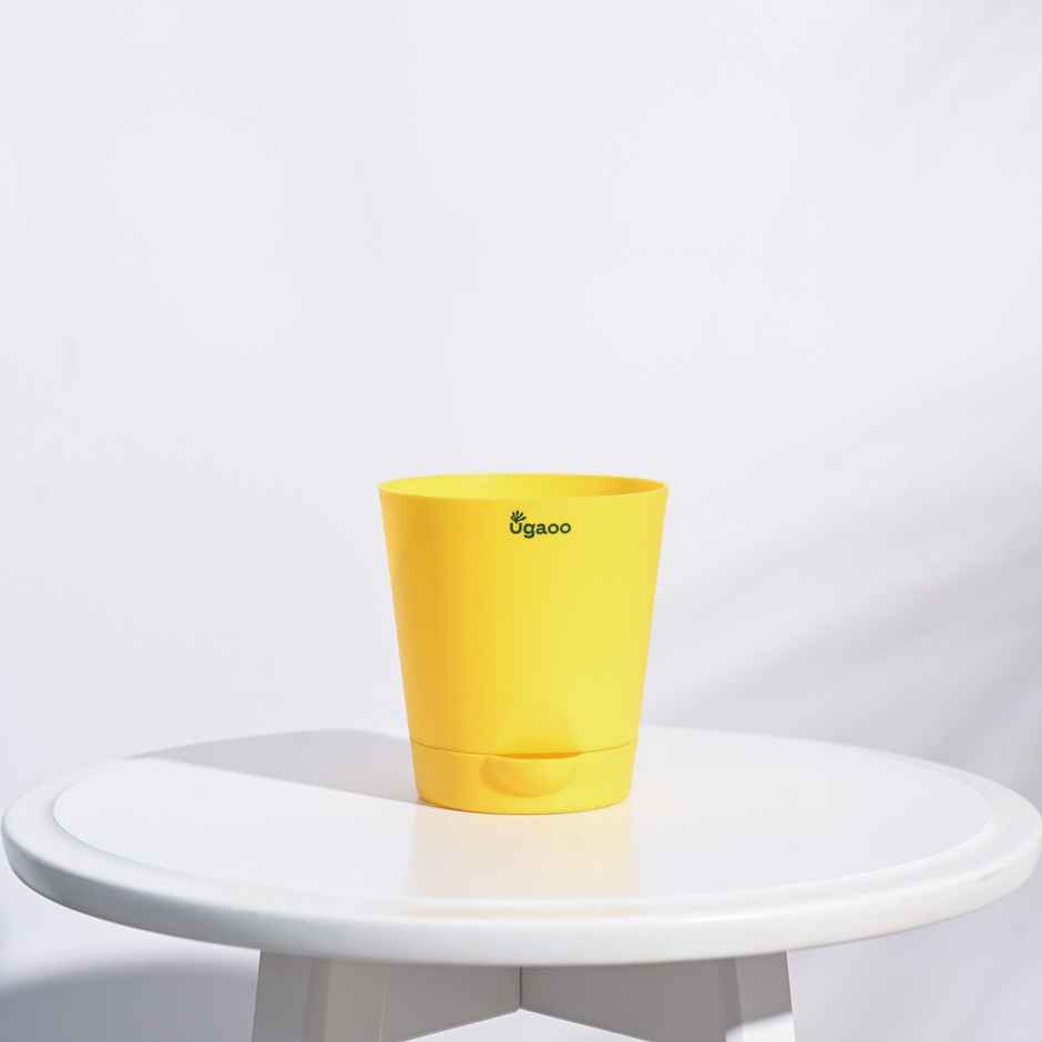 Ugaoo Krish Self Watering Round Pots - 4 Inch | Set of 3 | Green, Yellow, Brown