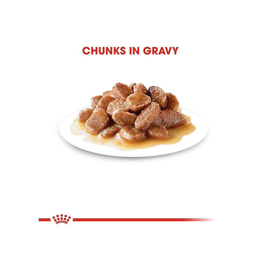 Royal Canin Instinctive Gravy Cat Wet Food