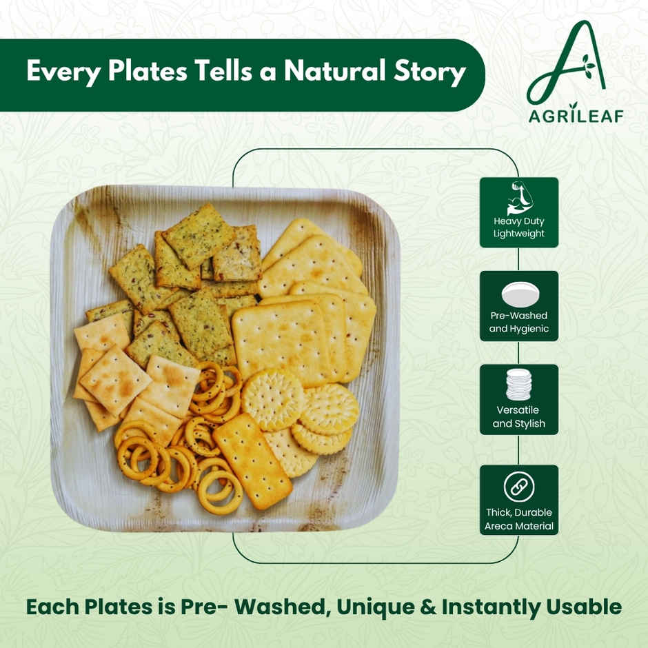 AGRILEAF 8 Inch Square Areca Palm Leaf Disposable Plates with Spoons | 5 Plates + 5 Spoons