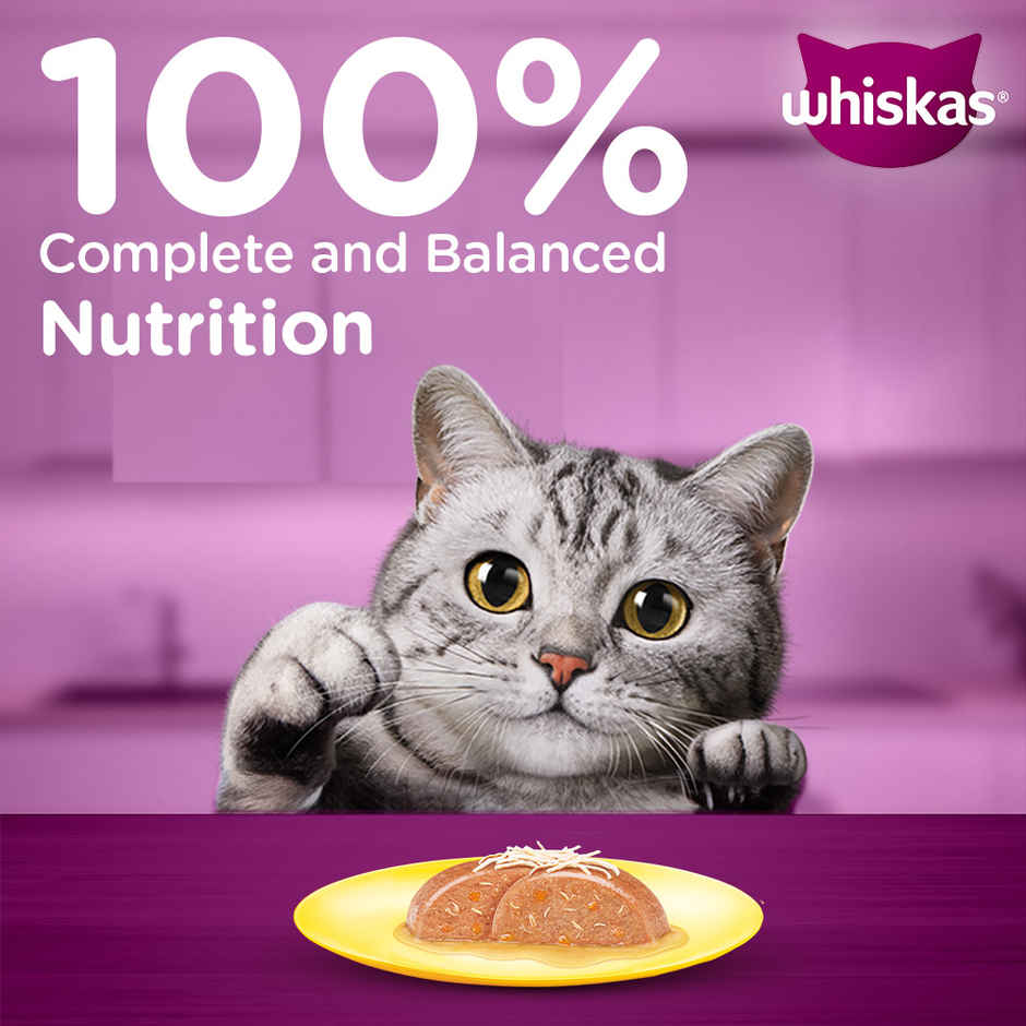 Whiskas Adult Wet Cat Food Chicken and Salmon in Jelly