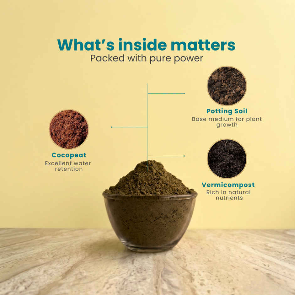 Zamia Potting Soil Mix | Organic Media for Seed, Plants & Vegetables | By Nurturing Green