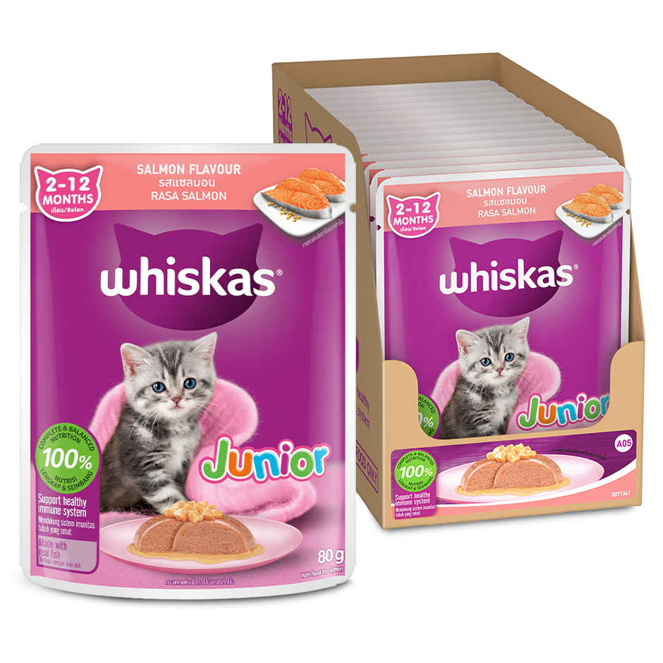 Whiskas Kitten Wet Cat Food Salmon in Jelly