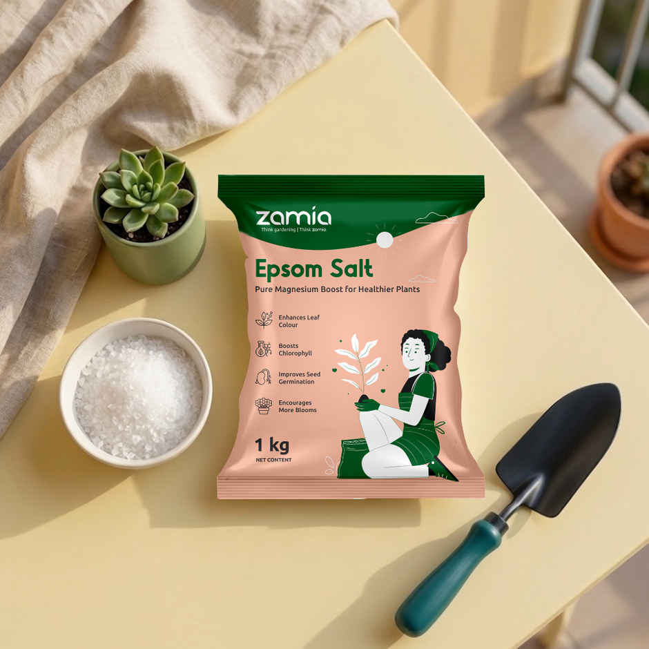 Zamia Epsom Salt | Magnesium Sulphate for Leaf Greening & Root Growth | By Nurturing Green