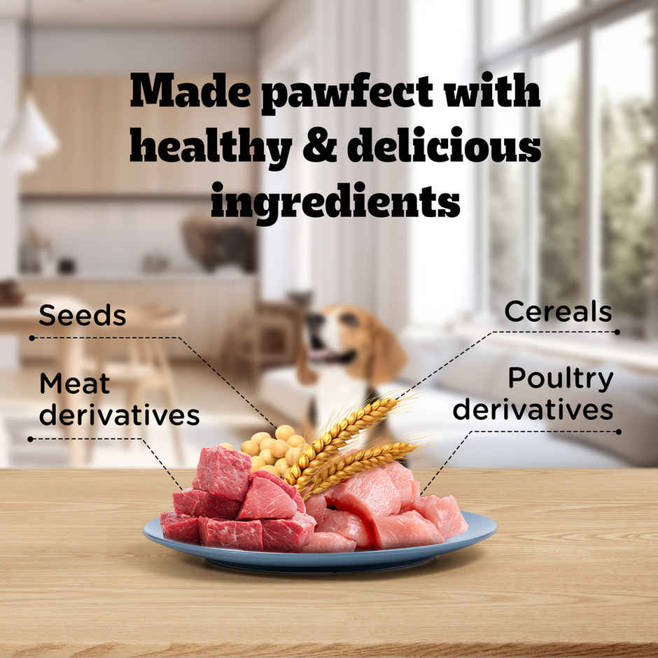 Pedigree Adult Jumbone Chicken & Lamb Flavours Dog Treats