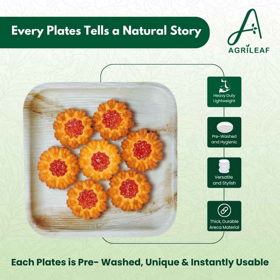 AGRILEAF 6 Inch Square Areca Palm Leaf Disposable Plates | 5 Plates + 10 Spoons (5 Free)