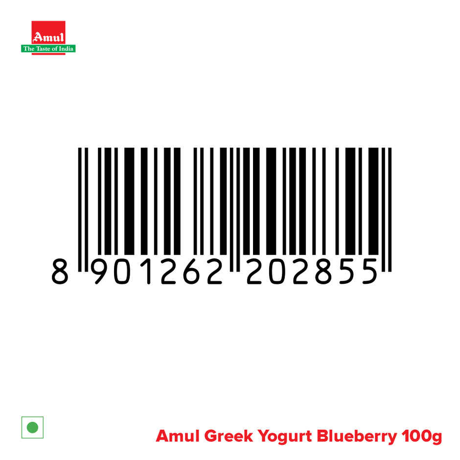 Amul Greek Yogurt | Blueberry