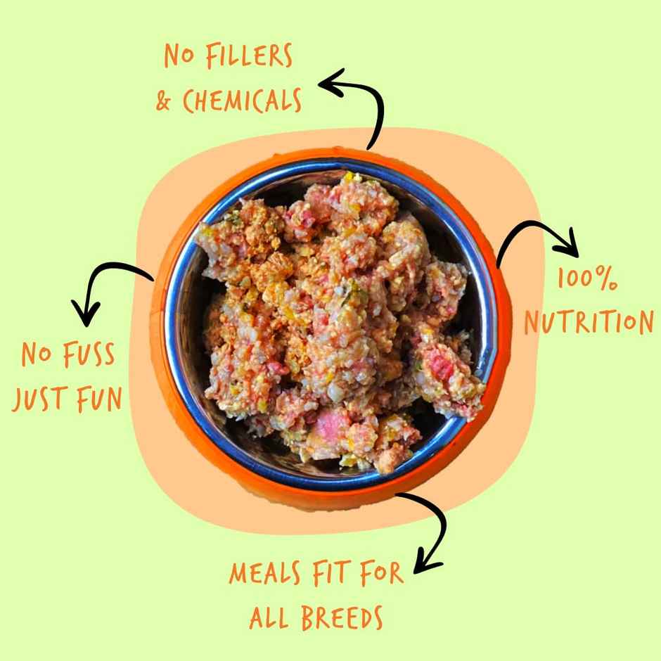 Sploot Punchy Paneer Fresh Food For Dogs